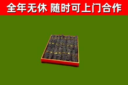 奇台回收海参